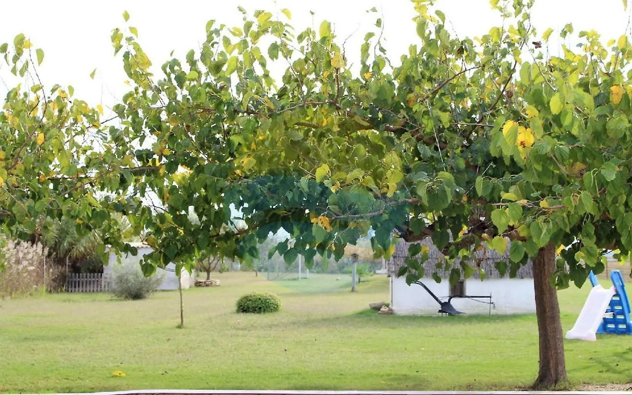 Fonsa - Casa Rural En El Delta Del Ebro Con Jardin Y Piscina Privada Villa Deltebre 0*,  Spain